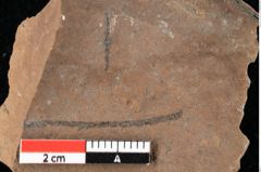Foto (Detailansicht) von Widdringtonia ungeri Endl. (NHMW-GEO-2024-0188-0139)